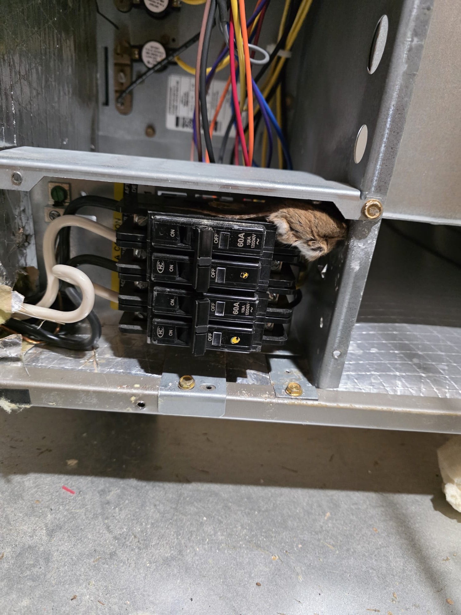 No-Heat-No-Cool Calls